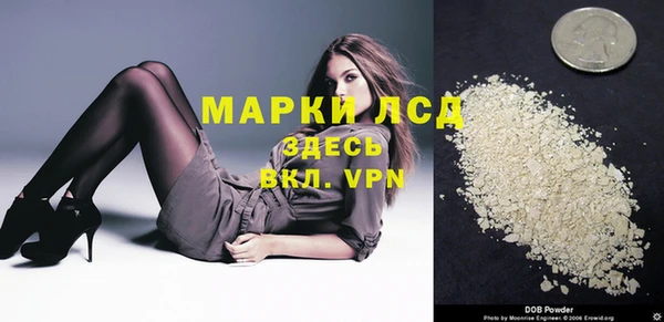 прущие грибы Михайлов