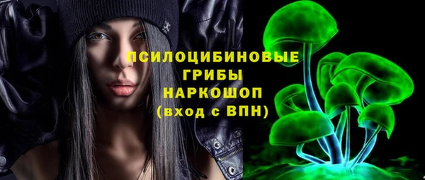 соль ск Сатка