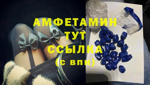 сатива Абинск
