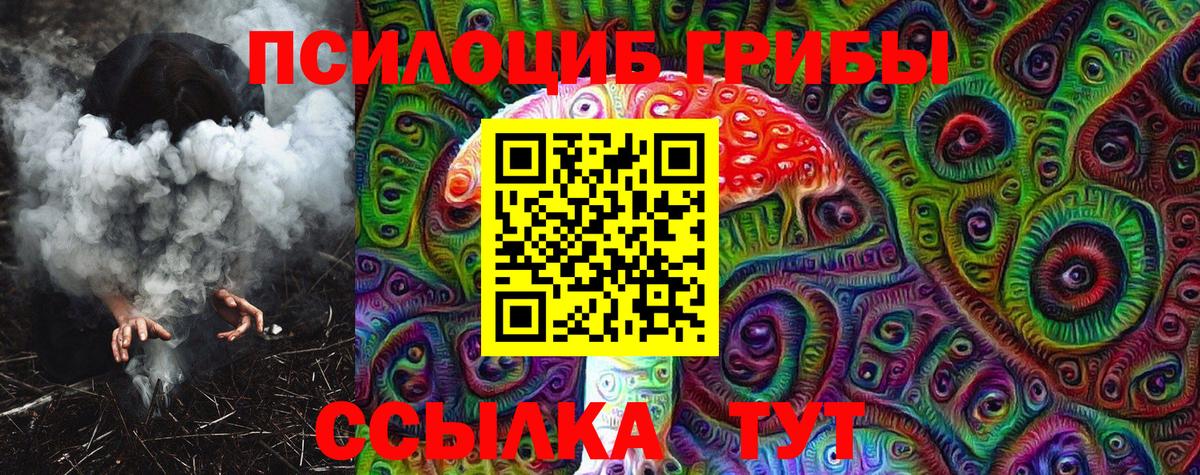 сколько стоит  Вход с VPN  Курчатов  Галлюциногенные грибы прущие грибы 