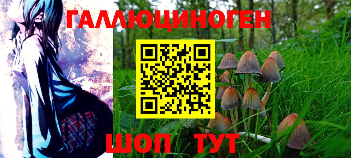 Галлюциногенные грибы GOLDEN TEACHER Курчатов