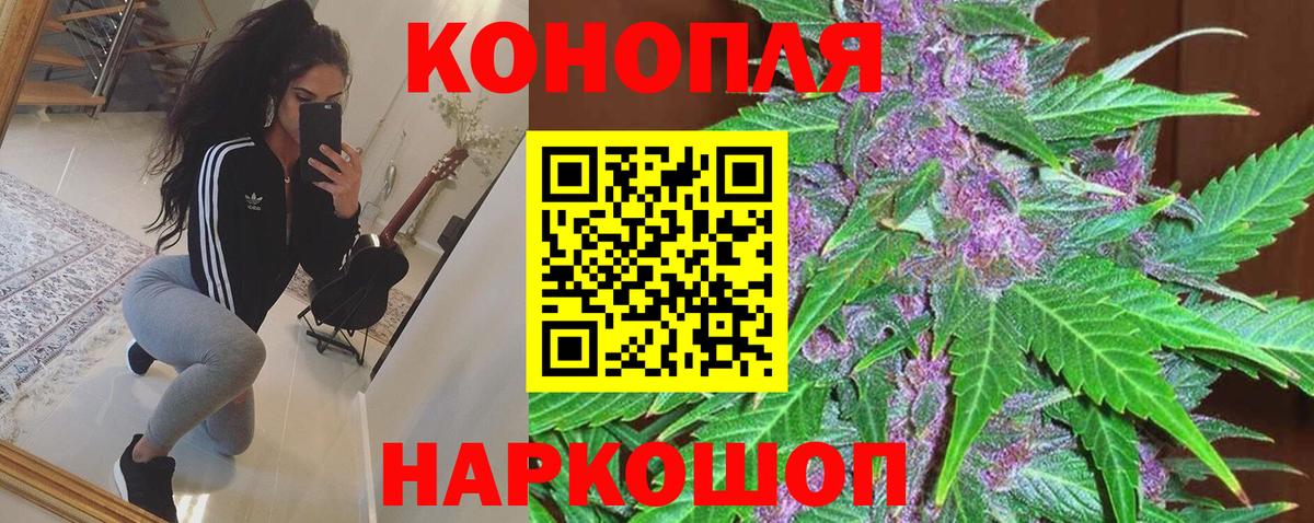 Бошки марихуана семена Курчатов